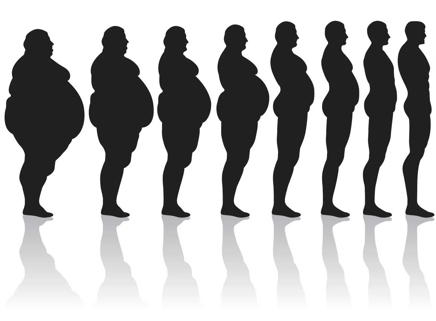 Этапы развития женщин. Ожирение. Лишний вес. Силуэт здорового человека.