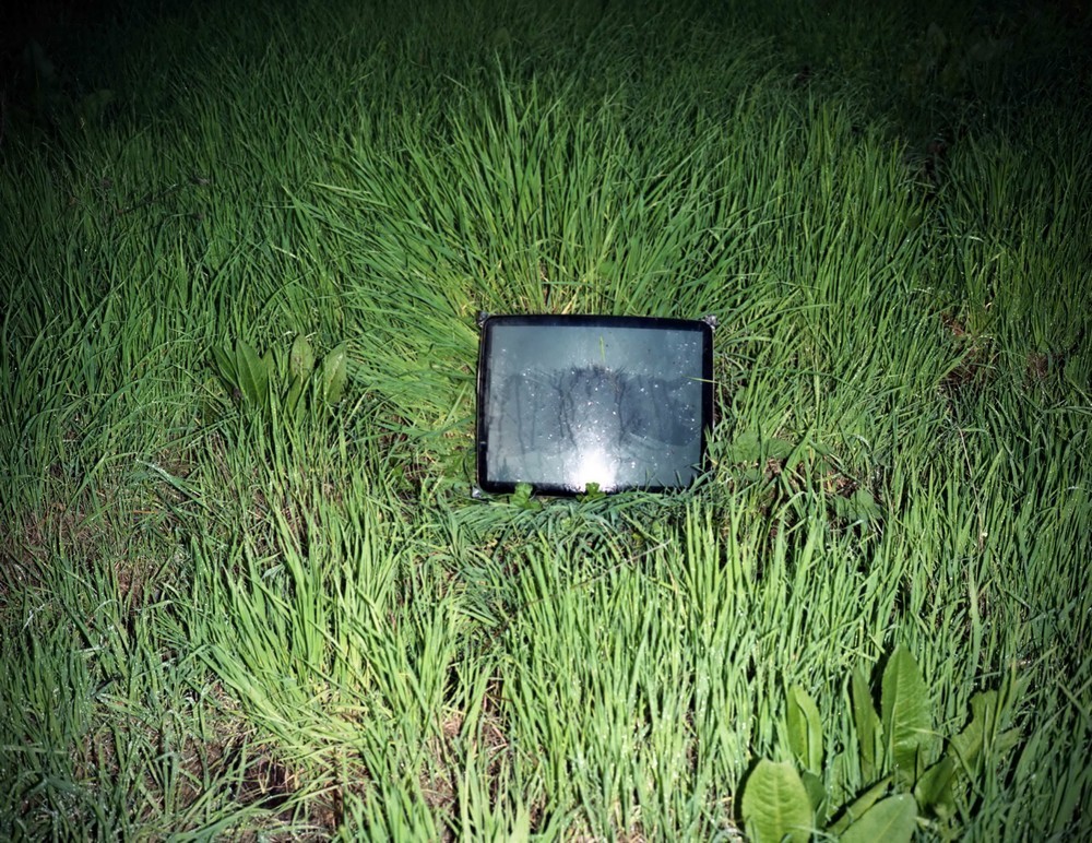 16.Grass tv