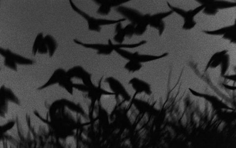 Το άσεμνο πουλί της νύχτας: ο λαβύρινθος του μυαλού σε λέξεις