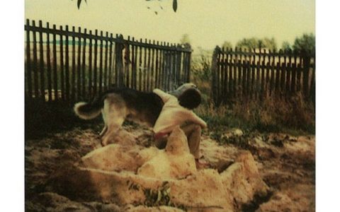 Οι αριστοτεχνικές Polaroid φωτογραφίες που τραβήχτηκαν από τον σκηνοθέτη Andrei Tarkovsky