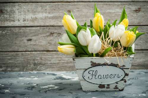 8 υπέροχα λουλούδια που μπορείς να φυτέψεις σε γλάστρες στο μπαλκόνι σου!