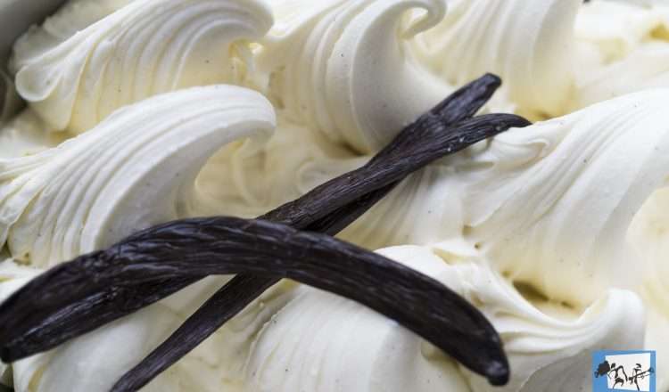 Gelateria Vanilla: το καλύτερο χειροποίητο παγωτό στη Θεσσαλονίκη
