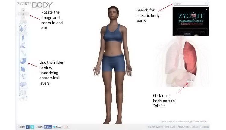 Η κορυφαία εφαρμογή (δωρεάν) για να μάθουμε διαδραστικά το ανθρώπινο σώμα