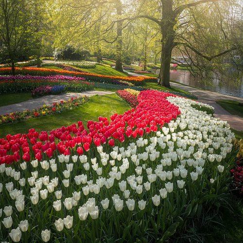 Keukenhof: Ο πιο όμορφος ανοιξιάτικος Κήπος της Ευρώπης!