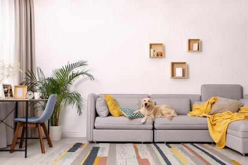 10+1 top trends για διακόσμηση τοίχου πάνω από τον καναπέ!