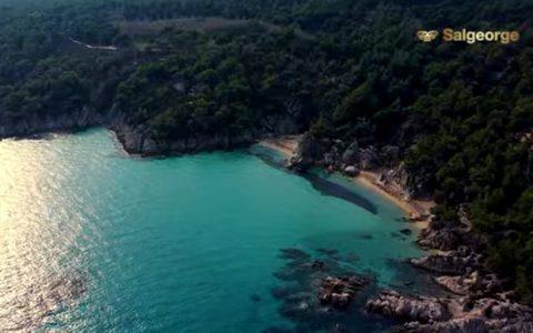 Paradise beach: Ο επίγειος παράδεισος στις Καβουρότρυπες Χαλκιδικής